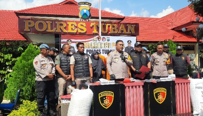 Pencuri Gabah